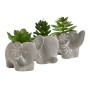 Plante décorative Home ESPRIT Polyéthylène Ciment 8 x 5 x 7 cm (3 Unités) de Home ESPRIT, Plantes artificielles - Réf : S3056...