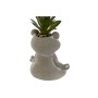 Decorative Plant Home ESPRIT Polyethylene Cement Frog 7,5 x 5 x 11 cm (3 Units) | Tienda24 - Global Online Shop Tienda24.eu