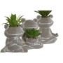 Decorative Plant Home ESPRIT Polyethylene Cement Frog 7,5 x 5 x 11 cm (3 Units) | Tienda24 - Global Online Shop Tienda24.eu