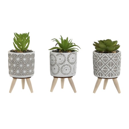 Plante décorative Home ESPRIT Polyéthylène Ciment 6,5 x 6,5 x 11 cm (3 Unités) de Home ESPRIT, Plantes artificielles - Réf : ...