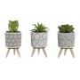 Planta Decorativa Home ESPRIT Polietileno Cemento 6,5 x 6,5 x 11 cm (3 Unidades) de Home ESPRIT, Plantas - Ref: S3059293, Pre...