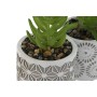 Plante décorative Home ESPRIT Polyéthylène Ciment 6,5 x 6,5 x 11 cm (3 Unités) de Home ESPRIT, Plantes artificielles - Réf : ...