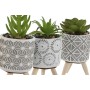 Plante décorative Home ESPRIT Polyéthylène Ciment 6,5 x 6,5 x 11 cm (3 Unités) de Home ESPRIT, Plantes artificielles - Réf : ...