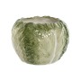 Bowl Home ESPRIT Green Stoneware 19,5 x 19,5 x 14 cm | Tienda24 - Global Online Shop Tienda24.eu