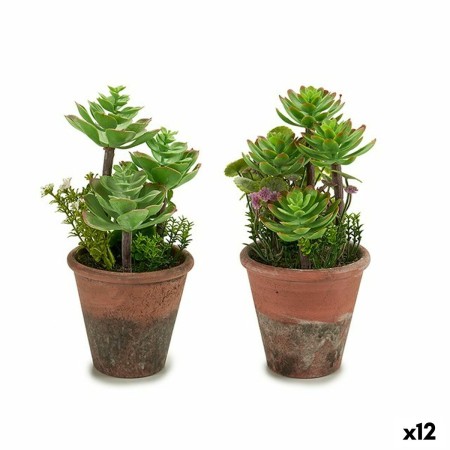 Decorative Plant Succulent Plastic 16 x 23 x 16 cm (12 Units) by Ibergarden, Artificial Plants - Ref: S3623241, Price: 77,78 ...