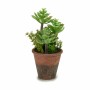 Pianta Decorativa Succulenta Plastica 16 x 23 x 16 cm (12 Unità) di Ibergarden, Piante artificiali - Rif: S3623241, Prezzo: 7...