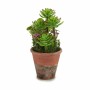 Pianta Decorativa Succulenta Plastica 16 x 23 x 16 cm (12 Unità) di Ibergarden, Piante artificiali - Rif: S3623241, Prezzo: 7...