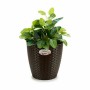 Planter Stefanplast Plastic 24 x 22 x 24 cm (6 Units) by Stefanplast, Cachepots - Ref: S3623603, Price: 22,46 €, Discount: %