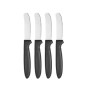 Knife Set Black Silver Stainless steel Plastic 17 cm (12 Units) | Tienda24 - Global Online Shop Tienda24.eu