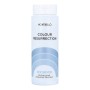 Gel Potenciador del Color Color Resurrection Montibello ISCR Ice Silver (60 ml) de Montibello, Potenciadores de brillo - Ref:...