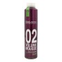 Teinture permanente Proline 02 Volumen Mousse Salerm 8420282038706 (300 ml) de Salerm, Coloration permanente - Réf : S4254084...