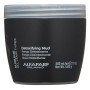 Maschera per Capelli Semi Di Lino Sublime Detoxifying Mud Alfaparf Milano Semi Di 500 ml (500 ml) di Alfaparf Milano, Balsami...