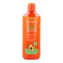 Shampooing et après-shampooing Cantu Avocado Hydrating 400 ml Huile d'avocat de Cantu, Shampooings et après-shampooings - Réf...