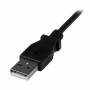 Câble USB vers Micro USB Startech USBAMB2MD   Noir de Startech, Câbles USB - Réf : S55057178, Prix : 5,71 €, Remise : %