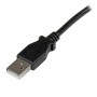 Câble USB A vers USB B Startech USBAB2ML    Noir de Startech, Câbles USB - Réf : S55057267, Prix : 7,03 €, Remise : %