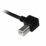 Câble USB A vers USB B Startech USBAB2ML    Noir de Startech, Câbles USB - Réf : S55057267, Prix : 7,03 €, Remise : %