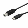 Cable USB Startech USB2CB3M    Negro de Startech, Cables USB - Ref: S55058139, Precio: 28,07 €, Descuento: %