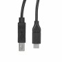 Cable USB Startech USB2CB3M    Negro de Startech, Cables USB - Ref: S55058139, Precio: 28,07 €, Descuento: %