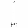 Suporte TV Startech FPCEILPTBLP 50 kg 32" 75" de Startech, Mesas e suportes para TV - Ref: S55058201, Preço: 250,40 €, Descon...