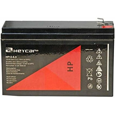 Battery for Uninterruptible Power Supply System UPS Riello BAT 12-6.5 by Riello, Replacement batteries for uninterrupted powe...