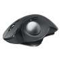 Mouse Logitech 910-007260 Graphit von Logitech, Mäuse - Ref: S55285619, Preis: 142,18 €, Rabatt: %