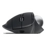 Mouse Logitech 910-007260 Graphite by Logitech, Mice - Ref: S55285619, Price: 142,18 €, Discount: %