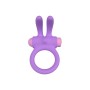 Anelli Fallici Party Color Toys Lilla Silicone | Tienda24 - Global Online Shop Tienda24.eu