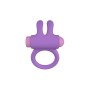 Anelli Fallici Party Color Toys Lilla Silicone | Tienda24 - Global Online Shop Tienda24.eu