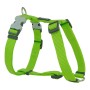 Dog Harness Red Dingo Smooth Lime | Tienda24 - Global Online Shop Tienda24.eu