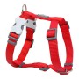 Harnais pour Chien Red Dingo Lisse 37-61 cm Rouge | Tienda24 - Global Online Shop Tienda24.eu