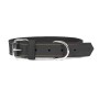 Collier pour Chien Gloria Oasis Noir (1,5 x 40 cm) de Gloria, Colliers - Réf : S6100683, Prix : 5,60 €, Remise : %