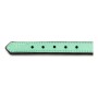 Dog collar Gloria Padded Green (45 x 2 cm) by Gloria, Collars - Ref: S6100754, Price: 6,91 €, Discount: %