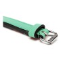 Dog collar Gloria Padded Green (45 x 2 cm) by Gloria, Collars - Ref: S6100754, Price: 6,91 €, Discount: %