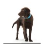 Dog collar Hunter Convenience Turquoise (38-46 cm) | Tienda24 - Global Online Shop Tienda24.eu