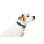 Collar para Perro Hunter Turquesa 12 de Hunter, Collares - Ref: S6101295, Precio: 13,33 €, Descuento: %