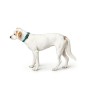 Collier pour Chien Hunter Turquoise 12 de Hunter, Colliers - Réf : S6101295, Prix : 13,33 €, Remise : %