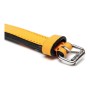 Dog collar Gloria Padded Yellow (30 x 1,5 cm) | Tienda24 - Global Online Shop Tienda24.eu