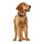 Dog collar Hunter Plus Thread Red Size L (40-60 cm) by Hunter, Collars - Ref: S6102818, Price: 14,83 €, Discount: %