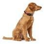 Coleira para Cães Hunter Plus Fio Vermelho Tamanho L (40-60 cm) de Hunter, Coleiras - Ref: S6102818, Preço: 14,83 €, Desconto: %