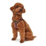 Arnês para Cães Hunter Hilo-Comfort XS-S Vermelho (37-42 cm) de Hunter, Arneses - Ref: S6103644, Preço: 14,31 €, Desconto: %