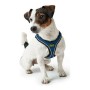 Dog Harness Hunter Hilo-Comfort Blue (30-35 cm) by Hunter, Harnesses - Ref: S6103692, Price: 17,63 €, Discount: %