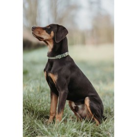 Collari da addestramento per cani Trixie 50 cm Metallo Doppia | Tienda24 - Global Online Shop Tienda24.eu