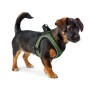 Dog Harness Hunter Comfort Green S 42-48 cm by Hunter, Harnesses - Ref: S6104474, Price: 19,65 €, Discount: %