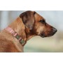 Dog collar Hunter Inari Red M 30-45 cm by Hunter, Collars - Ref: S6104652, Price: 11,10 €, Discount: %