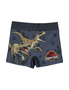 Boxer de Bain pour Enfants Jurassic Park Gris foncé de Jurassic Park, Maillots de bain - Ref: S0739857, Precio: €11.65, Descu...