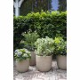 Planter Capi Europe Plastic Ø 35 cm 35 x 34 cm by Capi Europe, Cachepots - Ref: S71007855, Price: 62,56 €, Discount: %