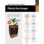 Plantador Capi Europe Nature Rib Antracite Plástico de Capi Europe, Vasos - Ref: S71008842, Preço: 170,02 €, Desconto: %