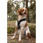 Dog Harness SYMBIOZ Black M by SYMBIOZ, Harnesses - Ref: S71009405, Price: 73,40 €, Discount: %