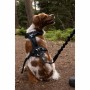 Dog Harness SYMBIOZ Black XXS by SYMBIOZ, Harnesses - Ref: S71009411, Price: 73,40 €, Discount: %