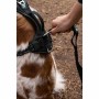 Dog Harness SYMBIOZ Black XXS by SYMBIOZ, Harnesses - Ref: S71009411, Price: 73,40 €, Discount: %